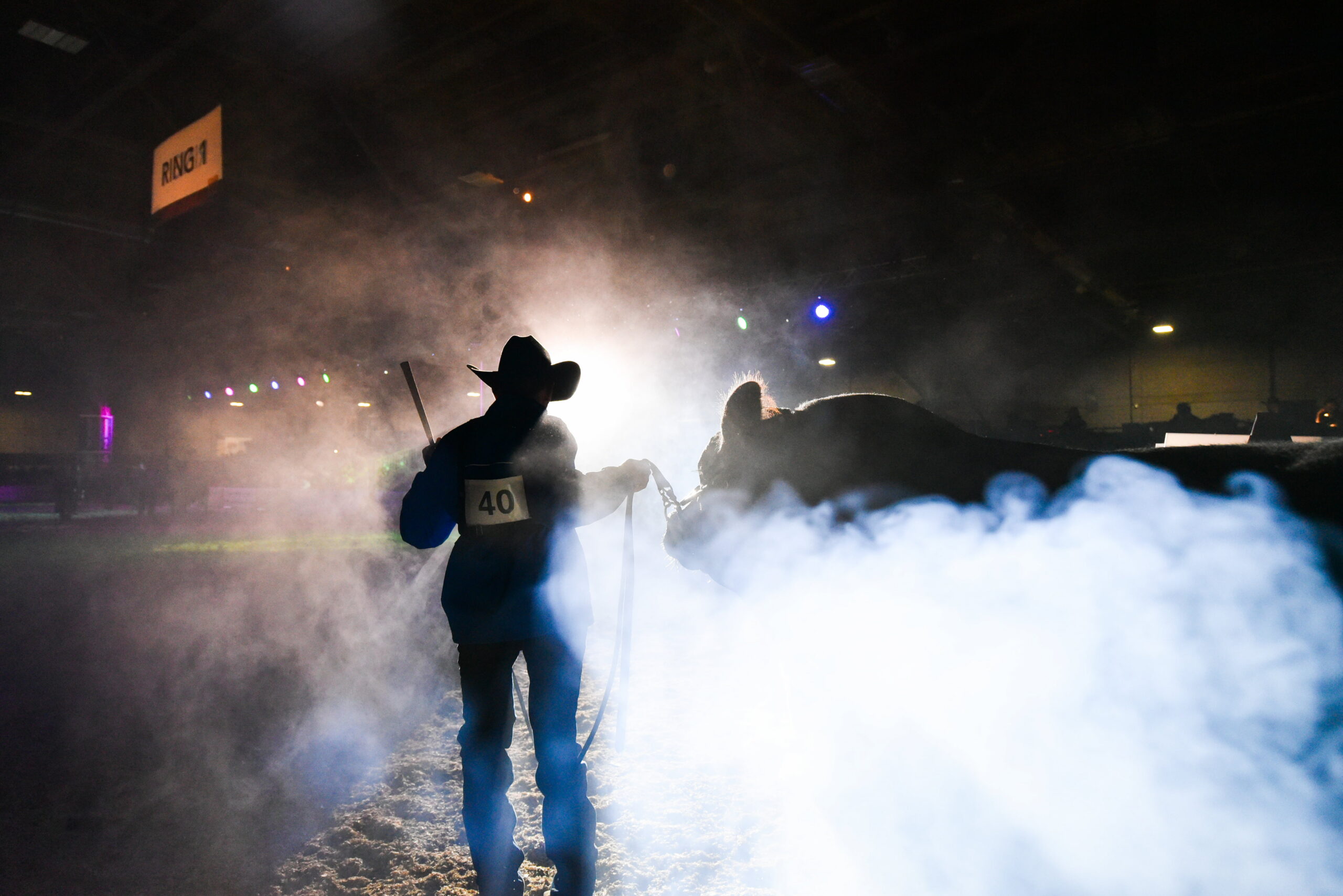 A handler and steer silhouetted in the smoke and light of the Farmfair show ring