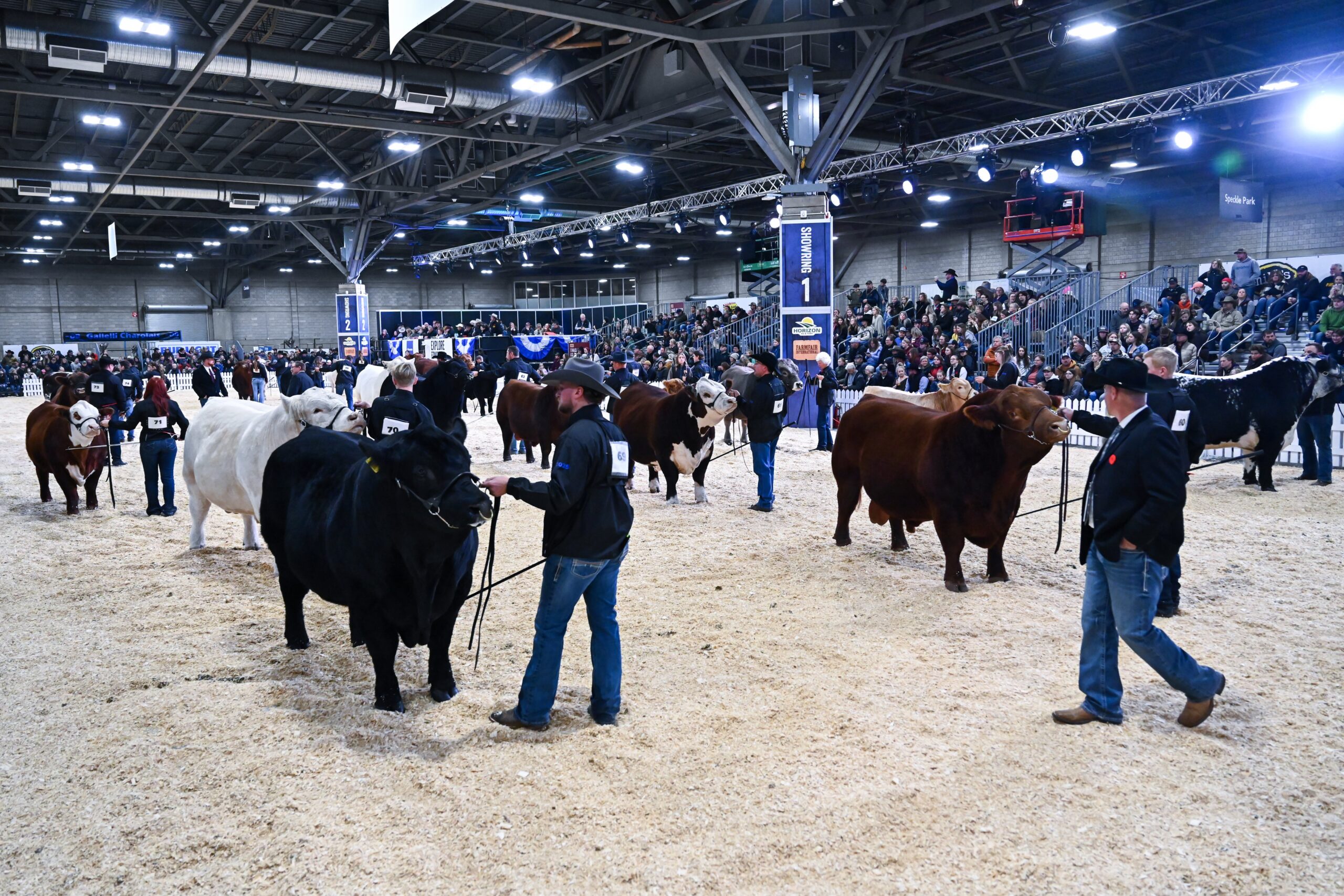 A large crowd fills the stands at the Farmfair International Supreme Show